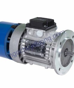 động cơ phanh MGM motor