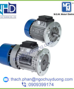 moto phanh MGM motor