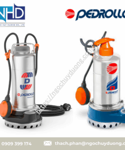 Bơm định lượng Pedrollo Positive Displacement Pumps D6, D12, D20