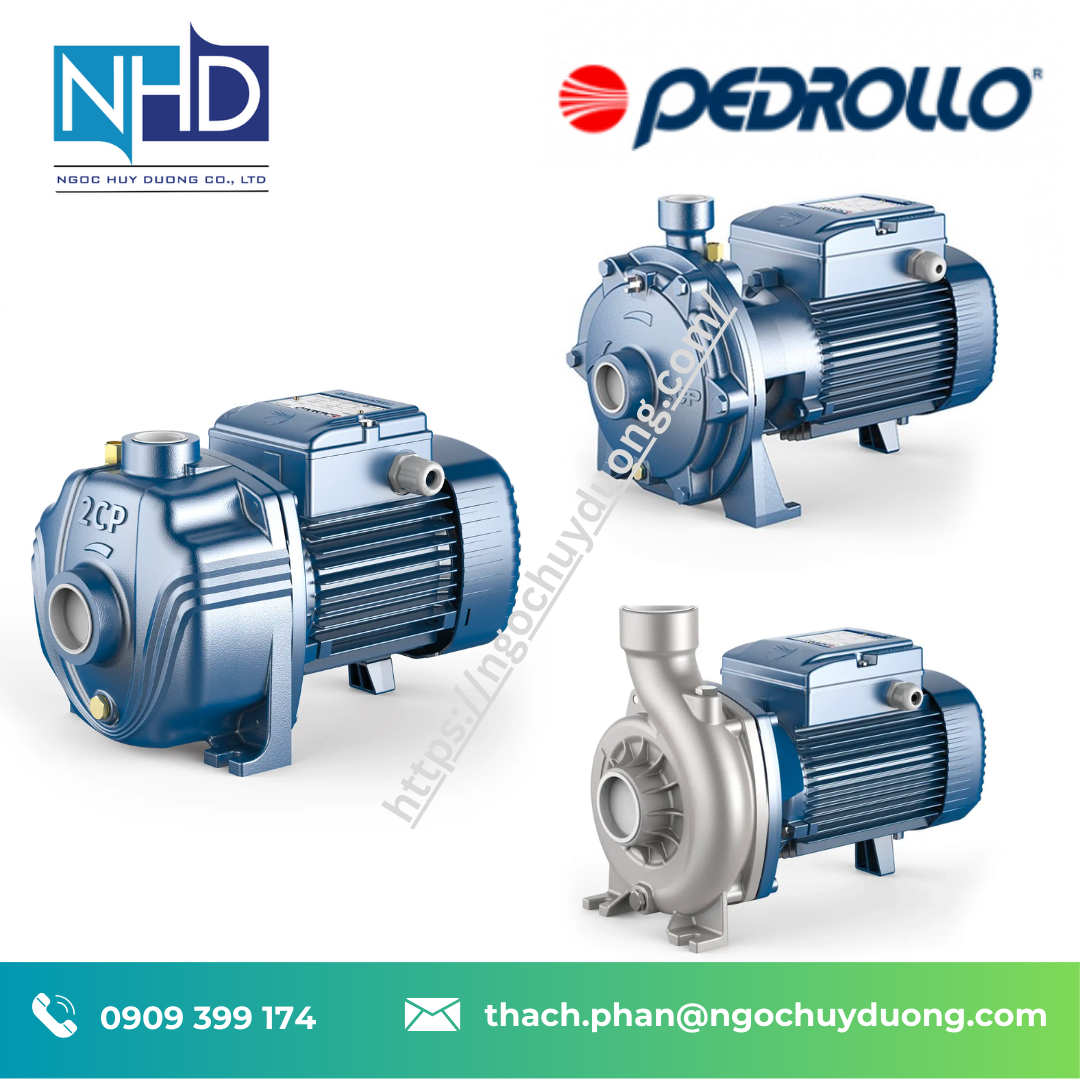 Bơm ly tâm trục ngang hút cuối End Suction Pumps Pedrollo 2CP25:130, 2CP32:160, 2CP40:200, CP132, CP200, CP220