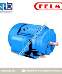 Động cơ NEMA FELM Ý NEMA MOTORS MG-1, UL-IEC