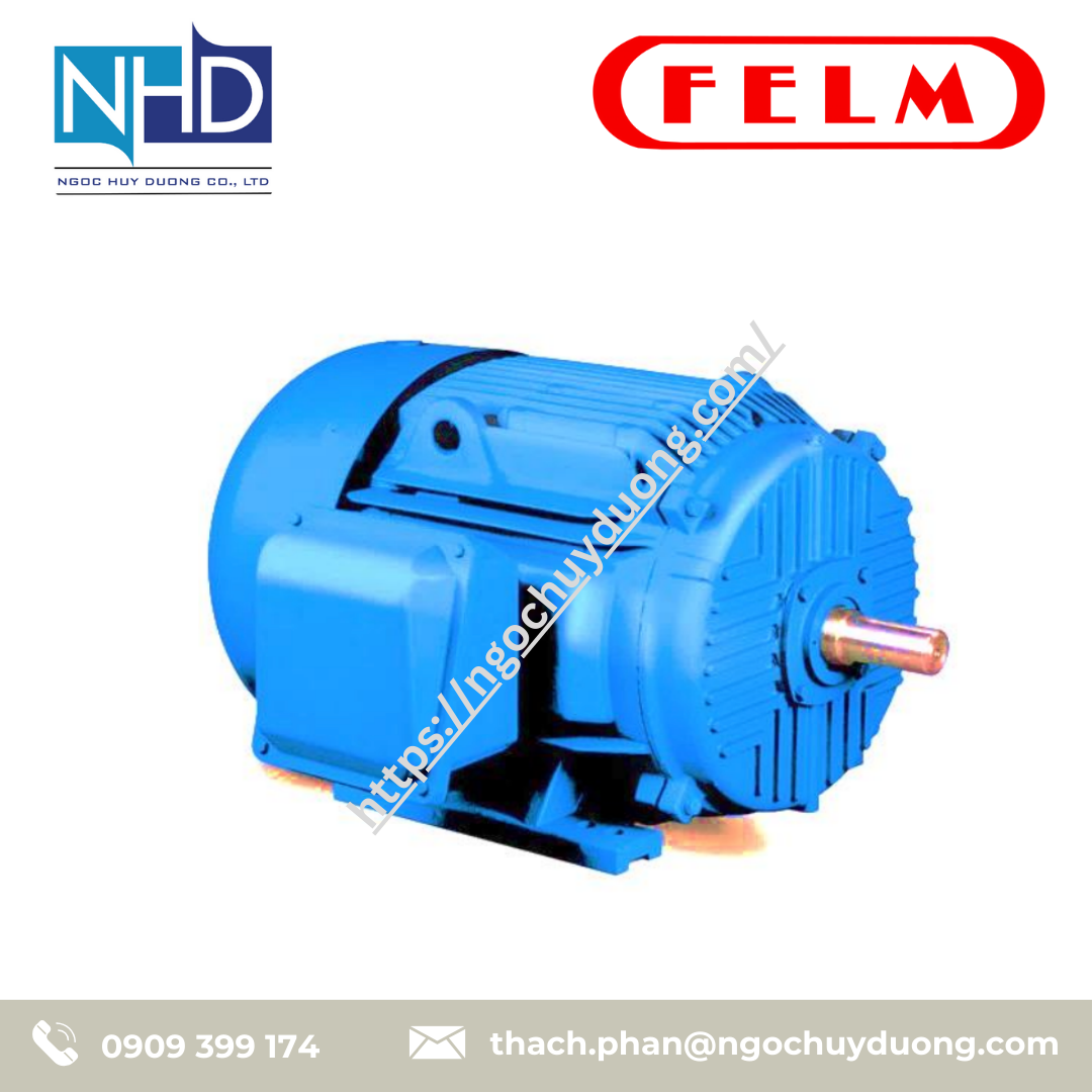 Động cơ NEMA FELM Ý NEMA MOTORS MG-1, UL-IEC