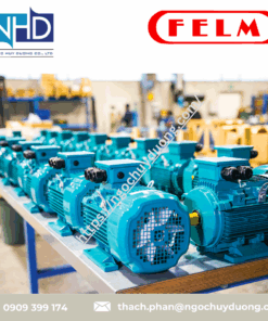 Động cơ cao áp: hạ áp High: LOW VOLTAGE MOTORS FELM Ý
