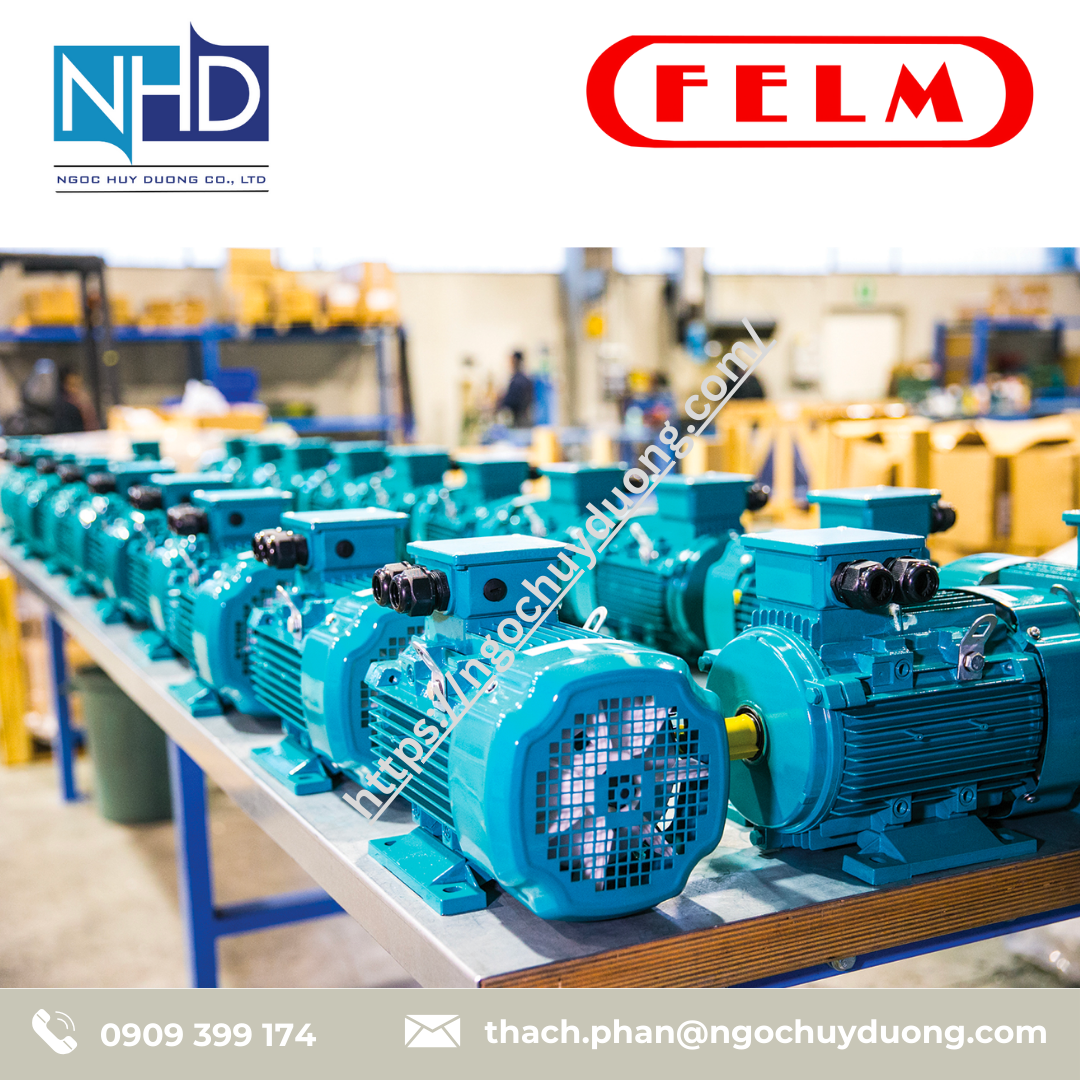 Động cơ cao áp: hạ áp High: LOW VOLTAGE MOTORS FELM Ý