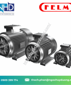 Động cơ hạ áp LOW VOLTAGE MOTORS FELM Ý IE1, IE2, IE3, IE4, IE5
