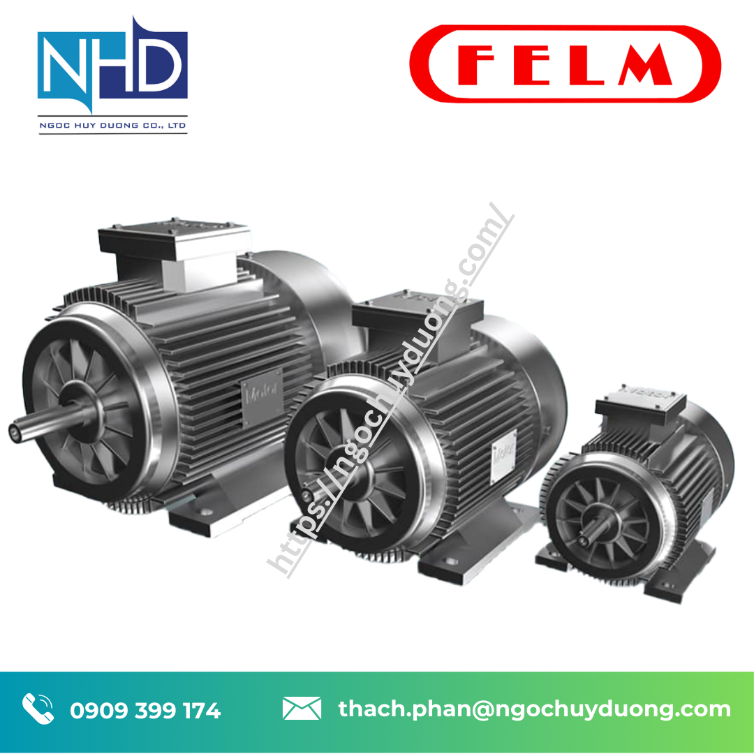 Động cơ hạ áp LOW VOLTAGE MOTORS FELM Ý IE1, IE2, IE3, IE4, IE5