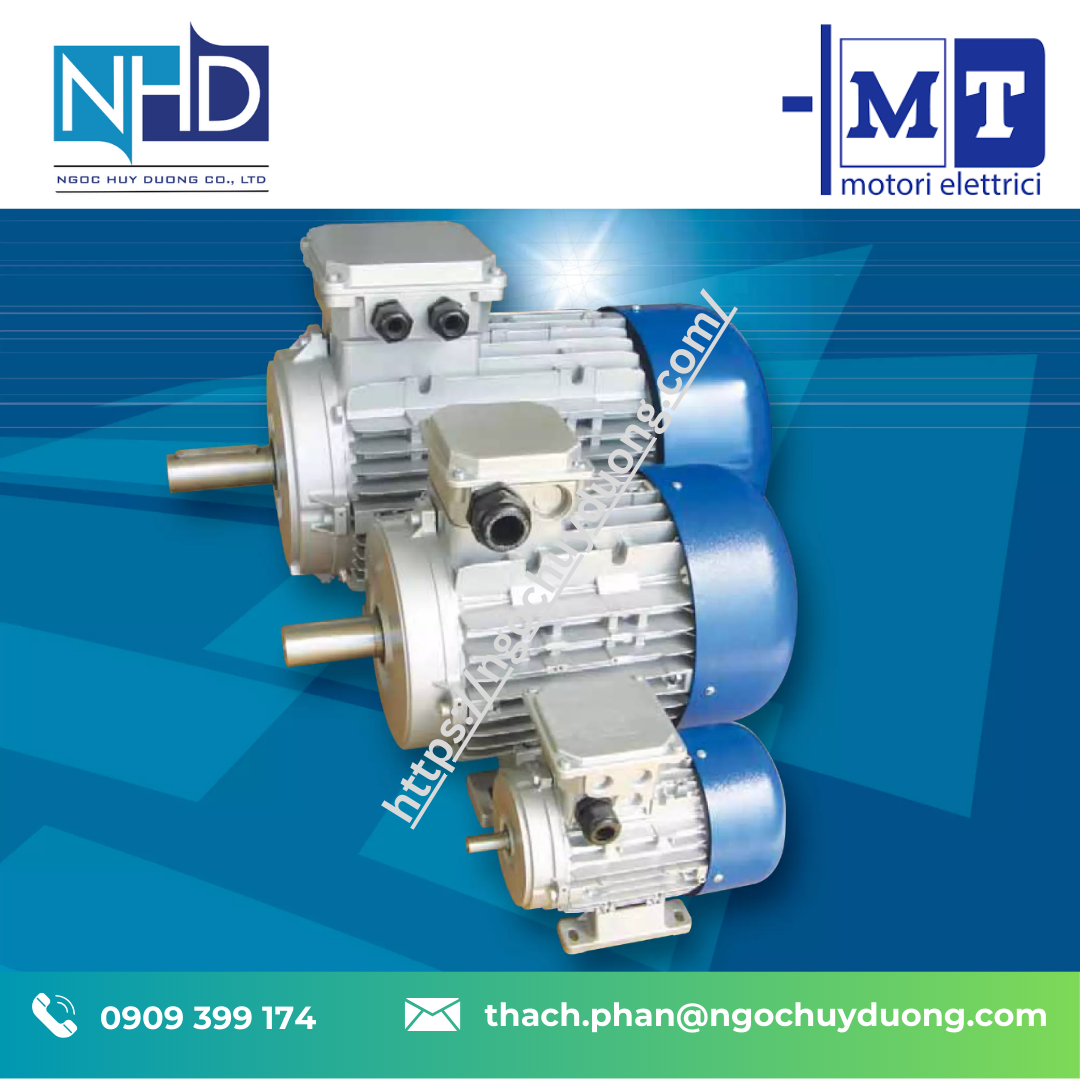 Đại lý động cơ điện cao cấp M.T. Motori Elettrici