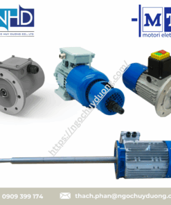 Động cơ đặc biệt & tùy chỉnh M.T. Motori Elettrici MF 250 M4, MF 160 L 4-8, MA 132 MAG
