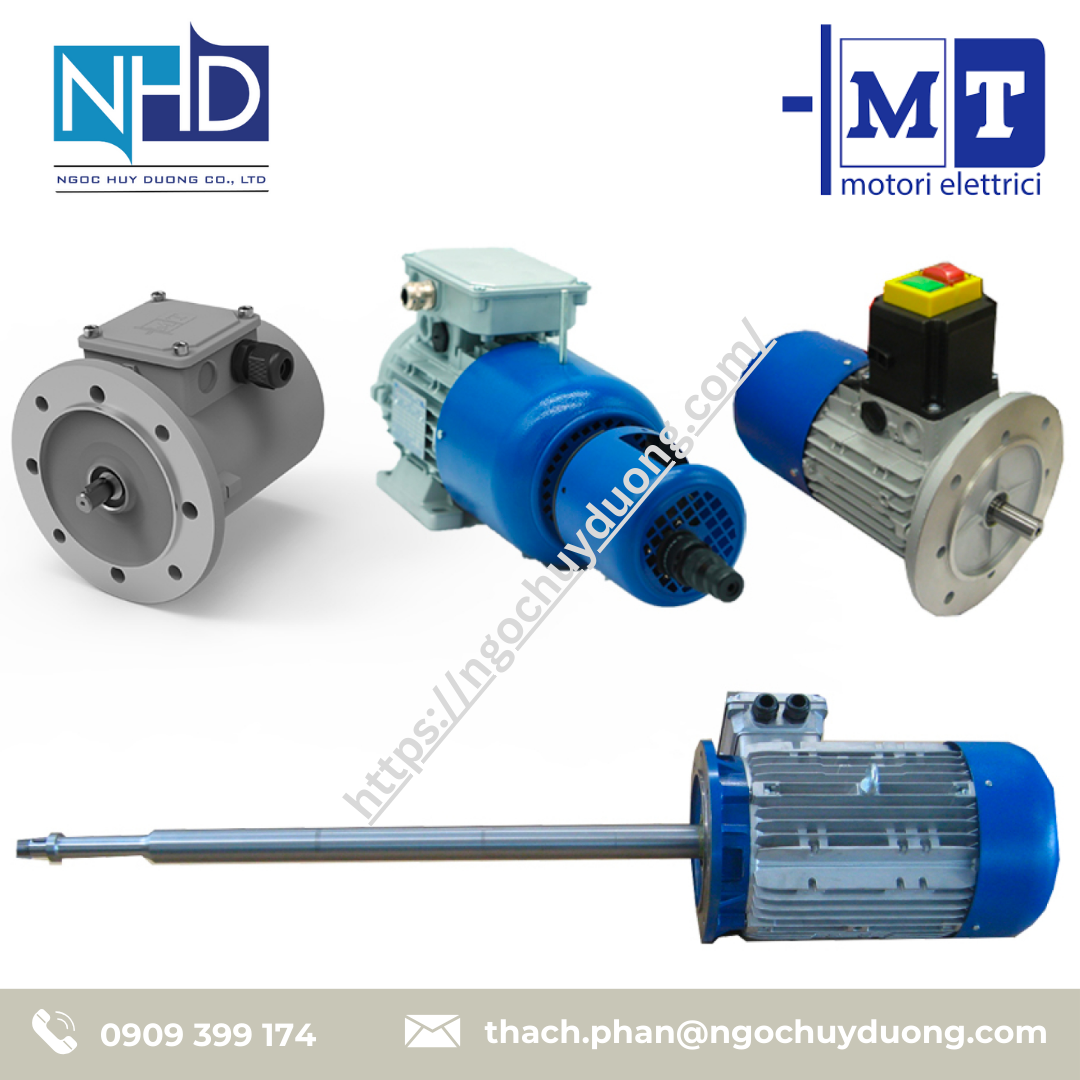 Động cơ đặc biệt & tùy chỉnh M.T. Motori Elettrici MF 250 M4, MF 160 L 4-8, MA 132 MAG