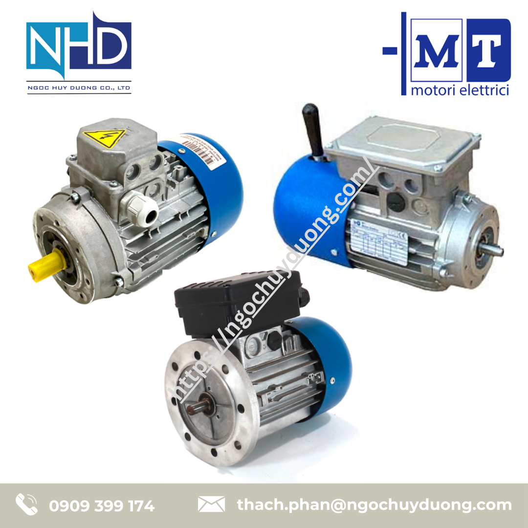 Động cơ tiêu chuẩn M.T. Motori Elettrici TN 160MA, TF 90L, MA 132M4, MF 160L4