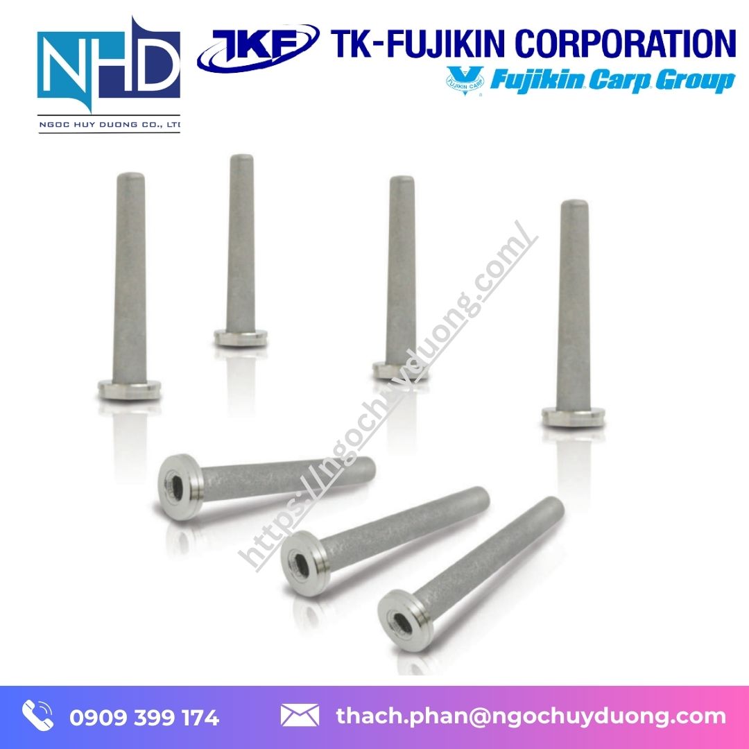 Bộ lọc khí TKF Fujikin GAS DIFFUSER – SGD-B70-4VM, SGD-C80-8VM