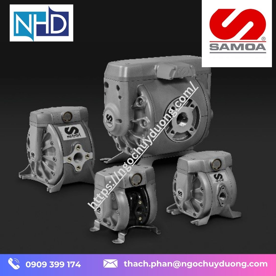Ngọc Huy Dương – đại lý bơm DirectFlo Samoa Việt Nam